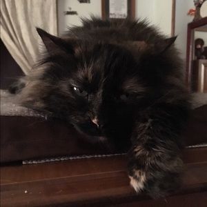 Meet your Posher, Linda